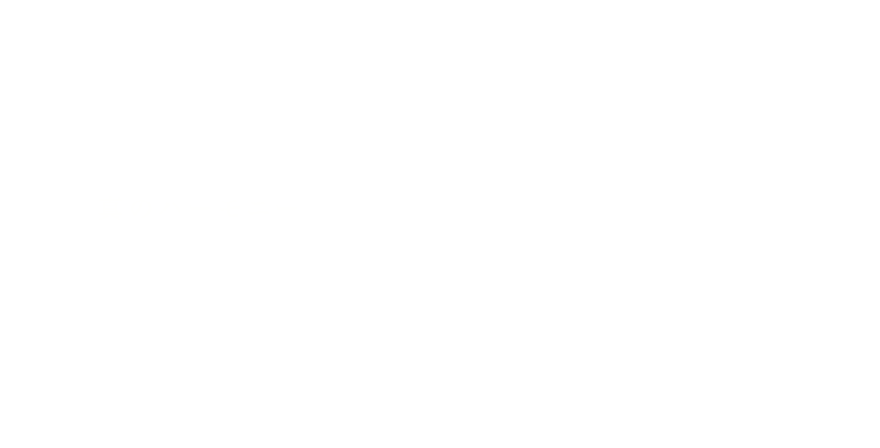 Pure Harmony 真のハーモニー | Salvi Harps